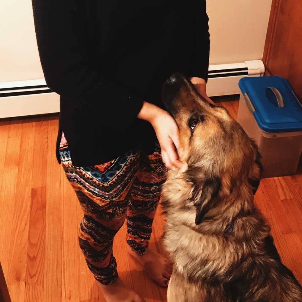 zig zag printed leggings